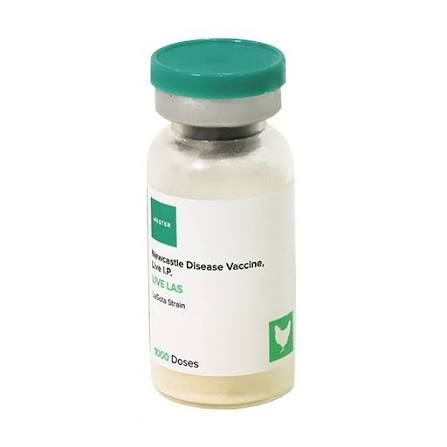 Newcastle Disease Vaccine (Lasota) 100
