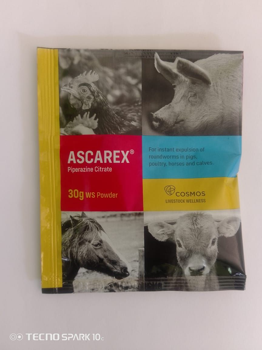 Ascarex D Worm Powder(Piperazine) 30g sachet